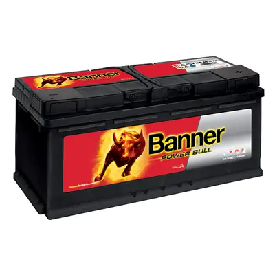 Banner Power Bull 12V 100Ah 820A P100 40