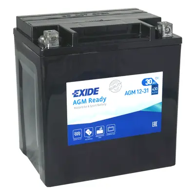 Exide AGM12-31