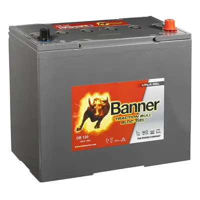 Trakční baterie Banner Dry Bull DB 120, 120Ah, 12V