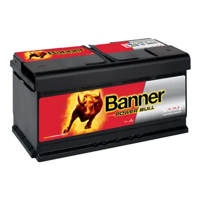 Banner Power Bull 12V 95Ah 780A P95 33