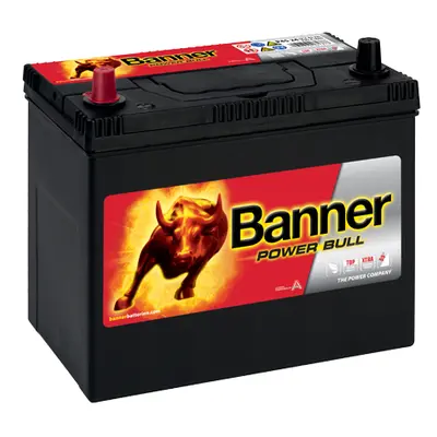 Banner Power Bull 12V 45Ah 390A P45 24