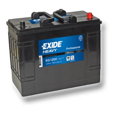 Exide Professional 12V 125Ah 640A EG1250