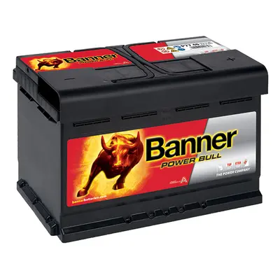 Banner Power Bull PROfessional 12V 77Ah 700A PRO P77 40