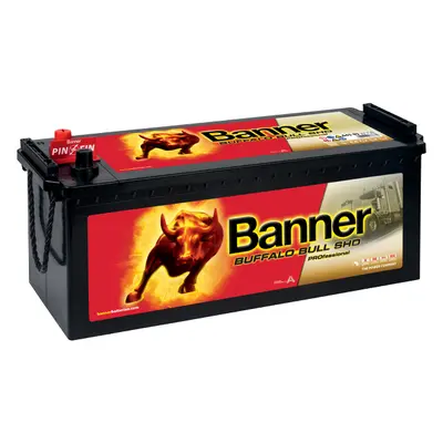 Banner Buffalo Bull SHD PROfessional 12V 145Ah 800A 645 03