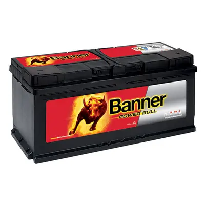 Banner Power Bull PROfessional 12V 110Ah 900A PRO P110 40