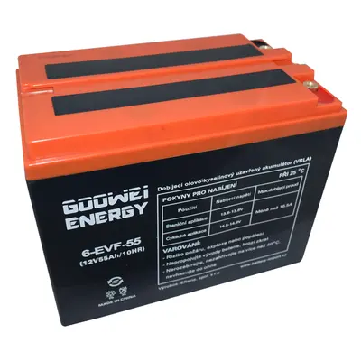 GOOWEI ENERGY 6-EVF-55 55Ah 12V