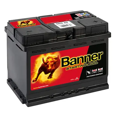 Banner Starting Bull 12V 60Ah 560 60