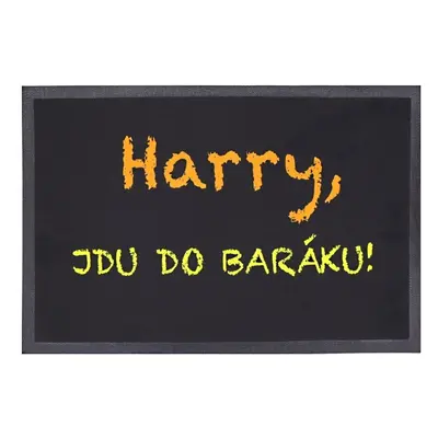 Rohožka Harry, jdu do baráku 40x60 cm 40x60 cm