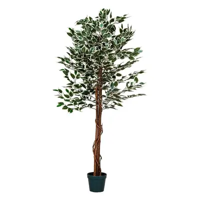 PLANTASIA 27406 Umělý strom rostlina - fíkus - 160 cm