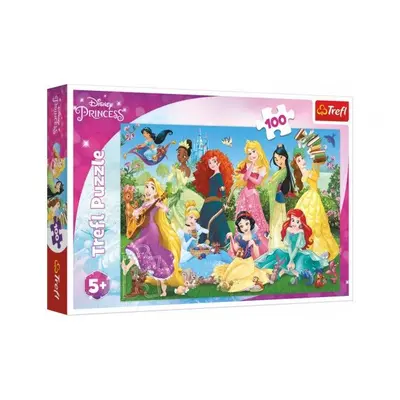 Puzzle Půvabné princezny/Disney 100 dílků 41x27,5cm v krabici 29x19x4cm