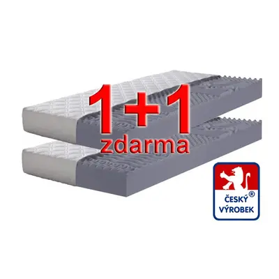 Matrace 1+1 zdarma relax - 70 x 195 cm