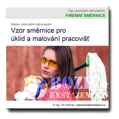 Vzor směrnice pro úklid a malování pracovišť