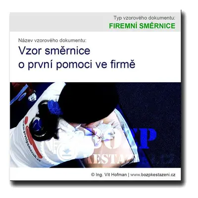 Vzor směrnice o první pomoci ve firmě