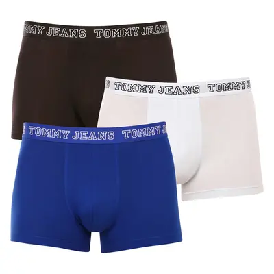 3PACK pánské boxerky Tommy Hilfiger vícebarevné (UM0UM02850 0TV) 78992161