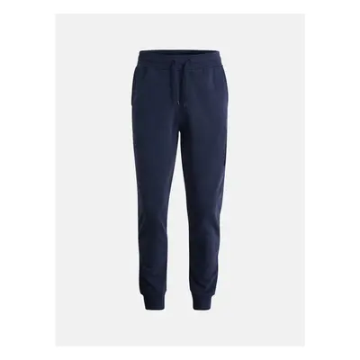 TEPLÁKY PEAK PERFORMANCE M EASE PANT 78362466