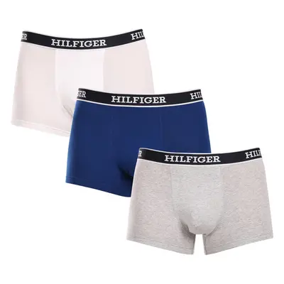 3PACK pánské boxerky Tommy Hilfiger vícebarevné (UM0UM03185 0YZ) 91987738