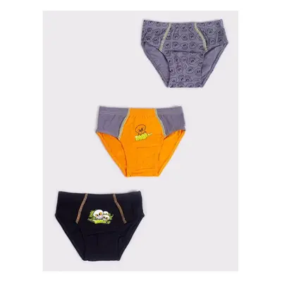 Yoclub Kidss 3Pack Boys Briefs BMC-0034C-AA20-001 78570864