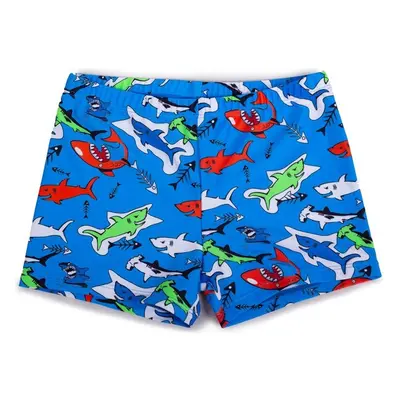 Yoclub Kidss Boys Swimming Shorts LKS-0060C-A100 82615017