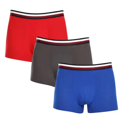 3PACK pánské boxerky Tommy Hilfiger vícebarevné (UM0UM03035 0UG) 87578984