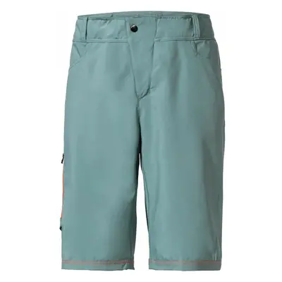 Pánské cyklistické kraťasy VAUDE Ledro Shorts Dusty moss 91914561