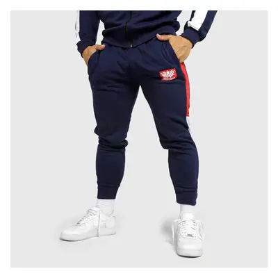 Jogger tepláky Iron Aesthetics Tricolora, navy 74606627