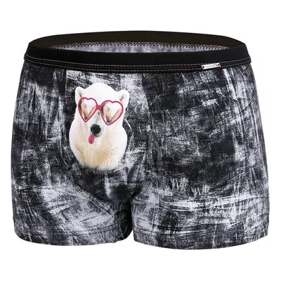 Boxerky Cornette 010/63 Glasses 46389753