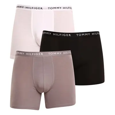 3PACK pánské boxerky Tommy Hilfiger vícebarevné (UM0UM02204 0TG) 72040255