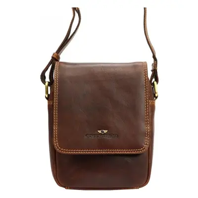 Pánská kožená crossbody/taška Peterson Jerredy, koňaková 88831687