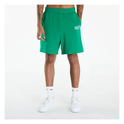 Šortky Awake NY Spire Logo Embroidered Sweatshort Green S 91786344