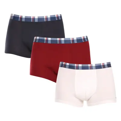 Poškozený obal - 3PACK pánské boxerky Tommy Hilfiger vícebarevné 102975435