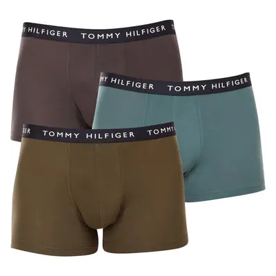 3PACK pánské boxerky Tommy Hilfiger vícebarevné (UM0UM02203 0XX) 82778189