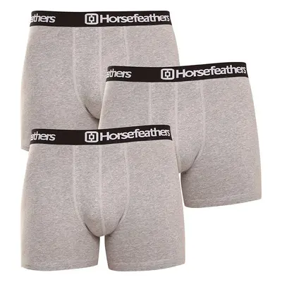 3PACK pánské boxerky Horsefeathers Dynasty heather gray (AM067C) 46429353