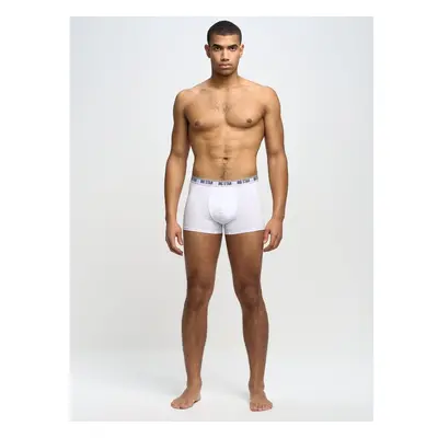 Big Star Mans Boxer Shorts Underwear 200033 Cream 101 88217598