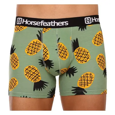 Pánské boxerky Horsefeathers Sidney Pineapple (AM164G) 74671657