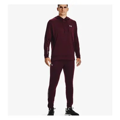 Pánská mikina Under Armour Terry Hoodie Red 63054201