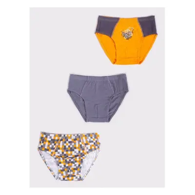 Yoclub Kidss 3Pack Boys Briefs BMC-0033C-AA30-002 78570884