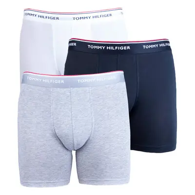 3PACK pánské boxerky Tommy Hilfiger vícebarevné (UM0UM00010 004) 46430317