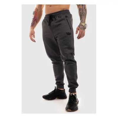 Jogger tepláky Iron Aesthetics Round, šedé 60712509