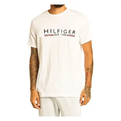 Pánské triko Tommy Hilfiger 94534599