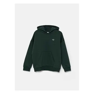 Dětská mikina adidas Originals HOODIE zelená barva, s kapucí, s 95652515