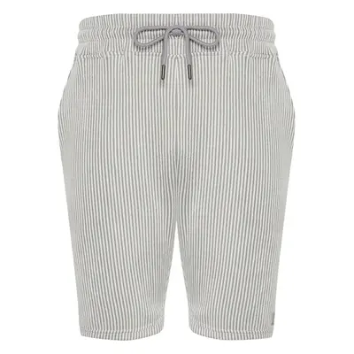 Trendyol Gray Striped Regular Cut Shorts 91284250