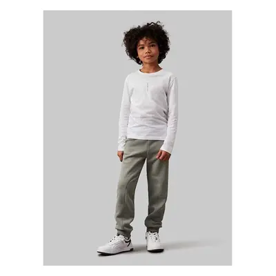 Dětské tepláky Calvin Klein Jeans FLEECE JOGGER zelená barva, hladké, 94305882