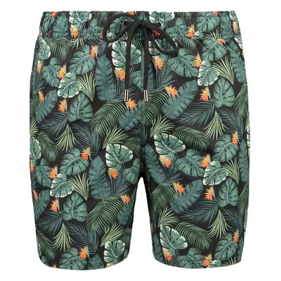 Pánské koupací kraťasy Trendyol Tropical Print 91261016