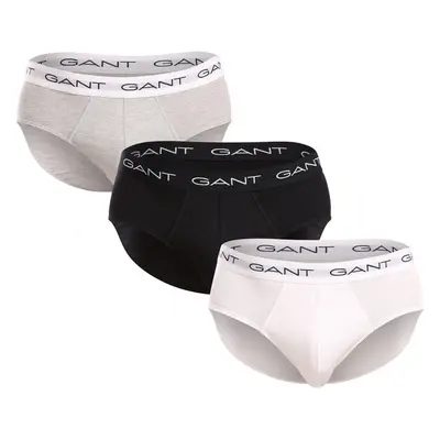 3PACK pánské slipy Gant vícebarevné (900013001-093) 94399959