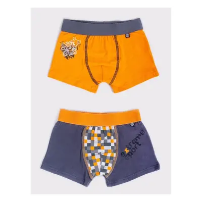 Yoclub Kidss 2Pack Boys Boxer Briefs BMB-0014C-AA30 78570863