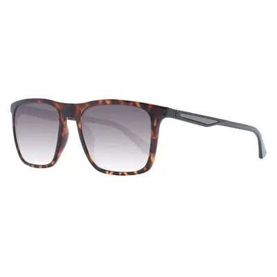 Police Sunglasses 99106396