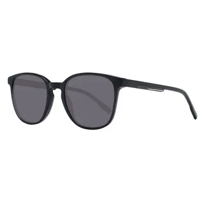 Hackett Sunglasses 99079743