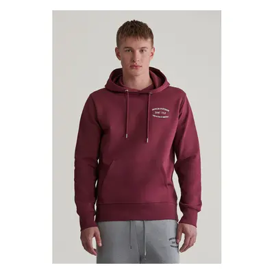 MIKINA GANT SMALL GRAPHIC SWEAT HOODIE WINE RED 96191857