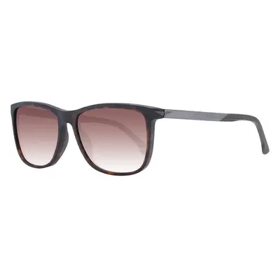 Police Sunglasses 99106390