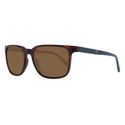 Timberland Sunglasses 99082913